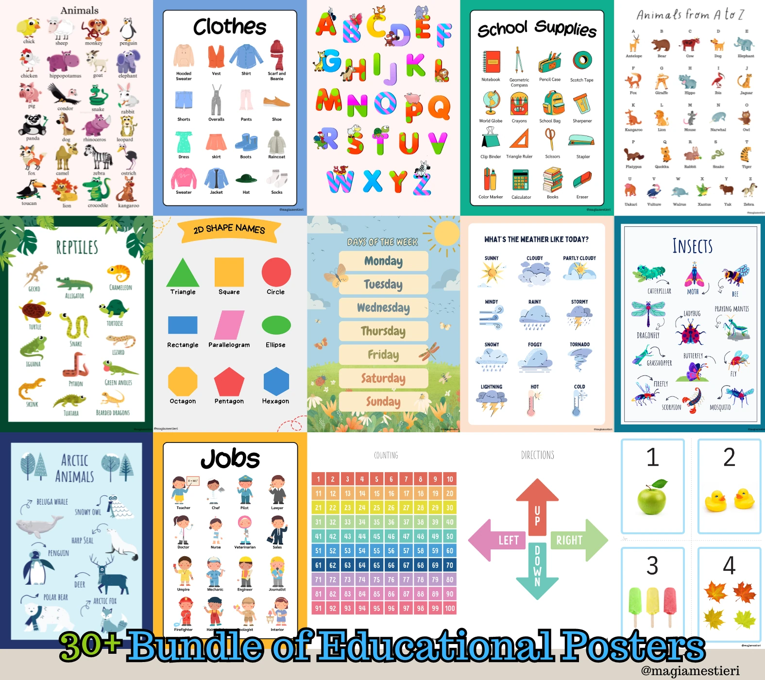 Educational Posters